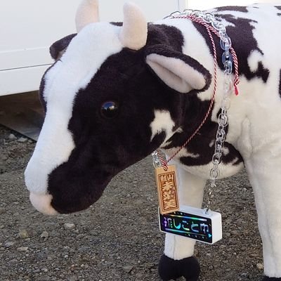 masayan0403's profile picture. お菓子屋さんで働いてます！