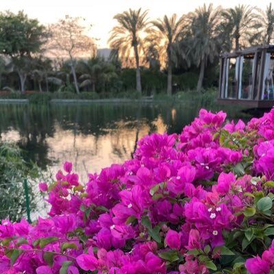 { لَّا يُحِبُّ اللَّهُ الْجَهْرَ بِالسُّوءِ مِنَ الْقَوْلِ إِلَّا مَن ظُلِمَ ۚ وَكَانَ اللَّهُ سَمِيعًا عَلِيمًا }
