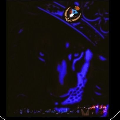 قلُ̜̌ب∇آلُآسدِ𓄂☆ Profile