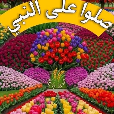 استغفر الله العظيم رب العرش العظيم واتوب اليه عدد كمال الله وكما يليق بكماله
