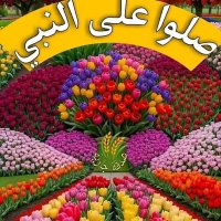 الشركسي الجرافي (@alshrksya65703) 's Twitter Profile