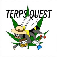 INDUSTRY MERCENARY 🐝 (@terp_quest) 's Twitter Profile Photo INDUSTRY MERCENARY 🐝 (@terp_quest) 's Twitter Profile Photo