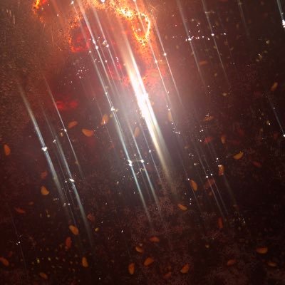 Ogibear96's profile picture. 