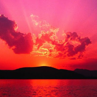 jmyllwrd411961's profile picture. 