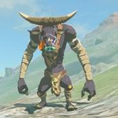Blue moblin (@mario_fan241) 's Twitter Profile