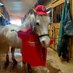 MaresAndStallions (@andstallions) Twitter profile photo MaresAndStallions (@andstallions) Twitter profile photo