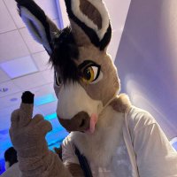 Jay ๐ซ (@slipperyott) 's Twitter Profile Photo Jay ๐ซ (@slipperyott) 's Twitter Profile Photo
