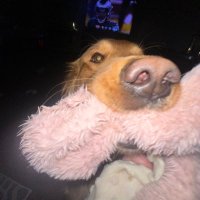 Austino (@03austin16) 's Twitter Profile