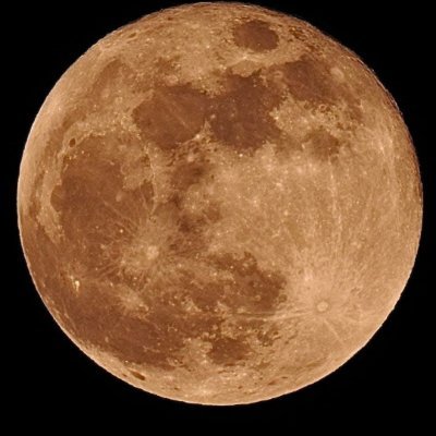 MarkScale265573's profile picture. 