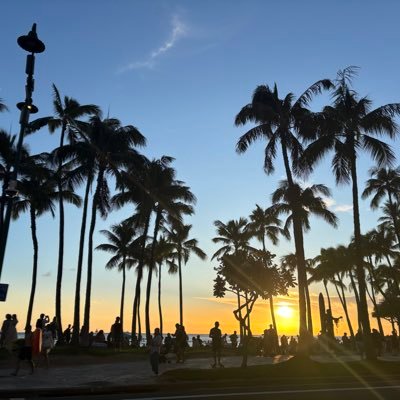 pochonoki2010's profile picture. 