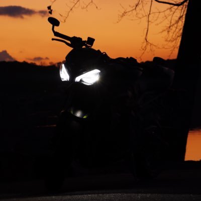 Kayden_da_fmboi's profile picture. just a femboy in love with motorsports Triumph Triple RS