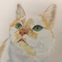 kana(raspberry) (@kana4415461709) Twitter profile photo