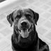 GMT (@goldminetips) Twitter profile photo GMT (@goldminetips) Twitter profile photo
