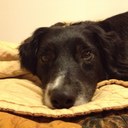 Lauren Wisdom - @lnwis - Twitter