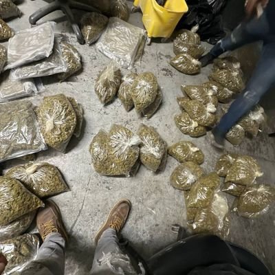 Top quality medical marijuana indica ,sativa hybrid strains, LSD, MDMA , M3th , DMT ,COCO, PILLS, HERO*N, FENTANYL, Ecstasy.....& more for sale..