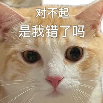 BOOMさんのプロフィール画像