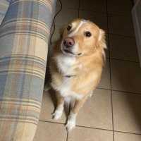 Avery (@musicgoated) 's Twitter Profile