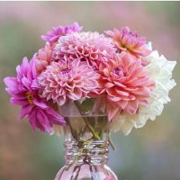 Marta McGraw (@marta_mcgr29257) Twitter profile photo
