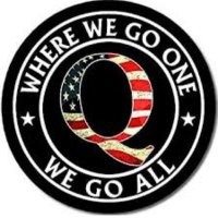 Q movement (@qmovement01) 's Twitter Profile