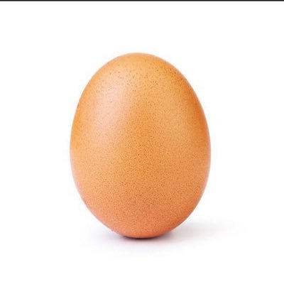 EGGCOIN11's profile picture. EGGCOIN is the future of crypto, just like the instagram post this will be the biggest ever. 🚀🌕