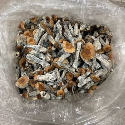 Join our Psychedelic telegram link to grow your psychedelic experience ...
https://t.co/7mIYVeCcAl