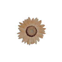 ๐๐๐๐๐. (@scuthcal) 's Twitter Profile Photo ๐๐๐๐๐. (@scuthcal) 's Twitter Profile Photo