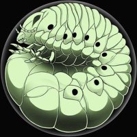 👽Saer👽 (@keptet) 's Twitter Profile Photo 👽Saer👽 (@keptet) 's Twitter Profile Photo