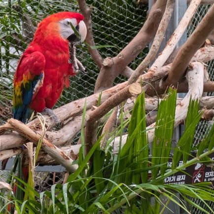 kurihimekayo's profile picture. 拉致監禁に心を痛めています。
外国への宣教を3カ国６年位。世界に出て日本の良さが分かりました。日本の心を大切にすごしたいですし、外国の方々にも日本の良さを知って欲しいです。子供が３人孫７人。

DM返信出来ない事多いです。宜しくお願いします。
#家庭連合長野　#拉致監禁反対　#スパイ防止法