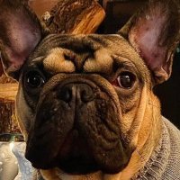 myonlysunshine (@kat9304ma) 's Twitter Profile Photo myonlysunshine (@kat9304ma) 's Twitter Profile Photo