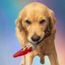 KPUP - The First Rainbow Token (@kpup_rainbow) Twitter profile photo KPUP - The First Rainbow Token (@kpup_rainbow) Twitter profile photo