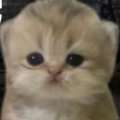 XxjannellixX's profile picture. slay