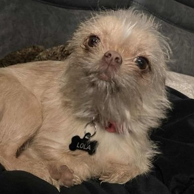 T_Millsey's profile picture. 