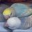 44Baybird's profile image