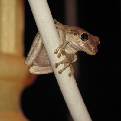 sollybarks's profile picture. love mission work; Haiti, Dominican, Guatemala, Mexico, Sierra Leone, Zambia…save the kids!