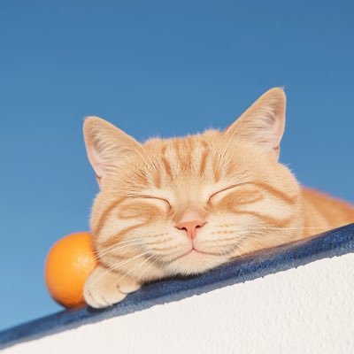 Arashi, KinKi Kids, BL & everything else I like • 🏐主黑研🐈⬛🐈 • 25時赤坂で💛🩵 • 🎤🍽️🚬🍓• 🍈 🍞 • 20+ • English/中文