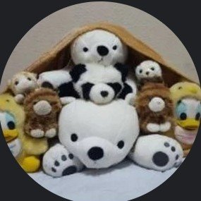 MASAHIROTV_'s profile picture. #PUBGMOBILE　#マイクラ　#モンスト　#メメントモリ どっちも無課金w1&w96メインはw96
#ワンピースバウンティラッシュ　等々沢山のゲームや漫画が好きな高校生です　
皆様宜しくお願い致します！
自分の好きな物などにいいねやフォローをします
Mirrativ配信者