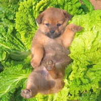 ๋จน์ (@3pmham) 's Twitter Profile Photo ๋จน์ (@3pmham) 's Twitter Profile Photo