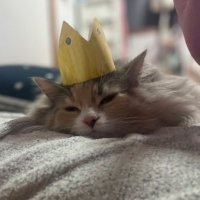 れいちゃん (@reiji_07_zrx) 's Twitter Profile