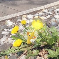 🎗봄날💛🌱🌸🐶🐰🐻🦊🦫🌺 (@smiling_dayday) 's Twitter Profile Photo 🎗봄날💛🌱🌸🐶🐰🐻🦊🦫🌺 (@smiling_dayday) 's Twitter Profile Photo