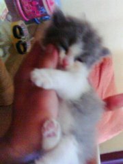 dee_dye's profile picture. 