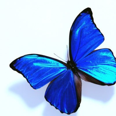 もんていさんのプロフィール画像