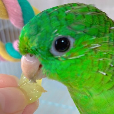 monachan6262's profile picture. 