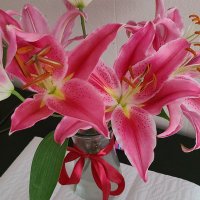 Every Man No Man (@everyman_noman) 's Twitter Profile Photo