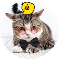 일일 (@work_whathehell) 's Twitter Profile Photo 일일 (@work_whathehell) 's Twitter Profile Photo