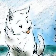 백구さんのプロフィール画像