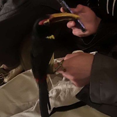 maximilianw15's profile picture. 