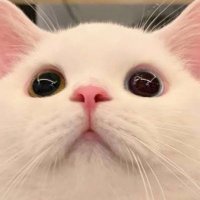 ☆ひろと☆ (@w2d4ccvld216687) 's Twitter Profile