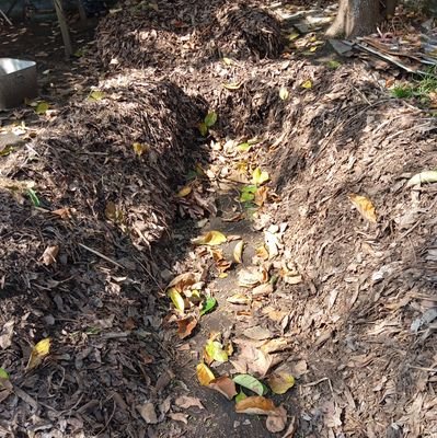 auregold79's profile picture. 