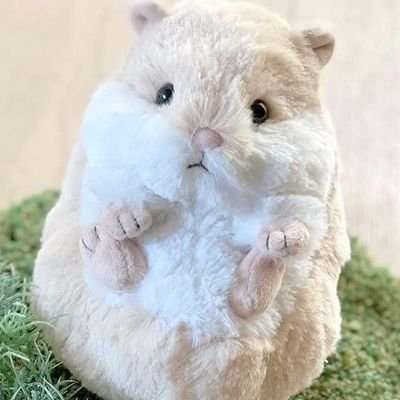 tatata8Op's profile picture. 이쪽 계정 접률 낮음!!! 연락처 필요하실 시 디엠