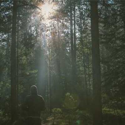 CalzadoQ94530's profile picture. 